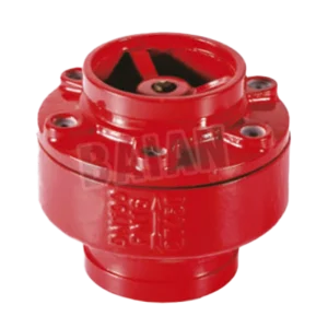 H81X-16Q Grooved Type Silencer Check Valve