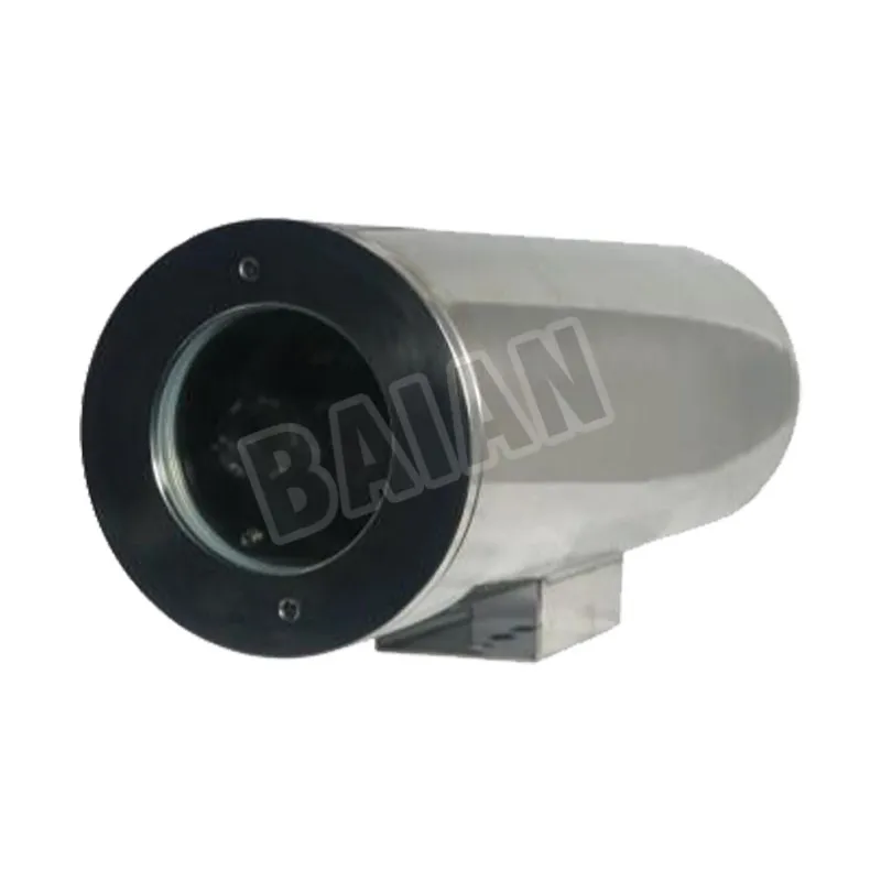 Image-Type Fire Detector